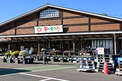 夢未市