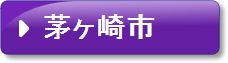 茅ケ崎市(紫)