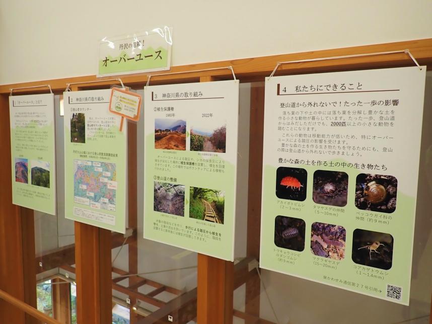 企画展示パネル