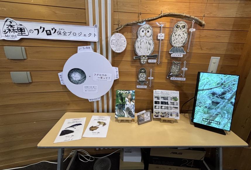 展示物一例