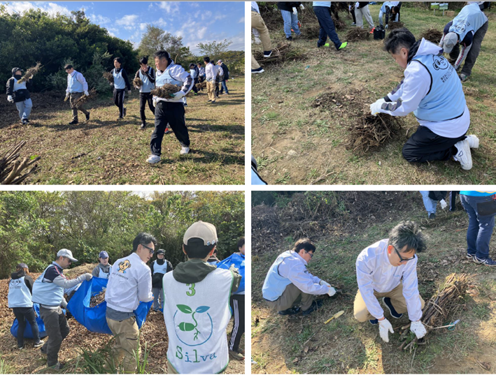 植樹活動の様子