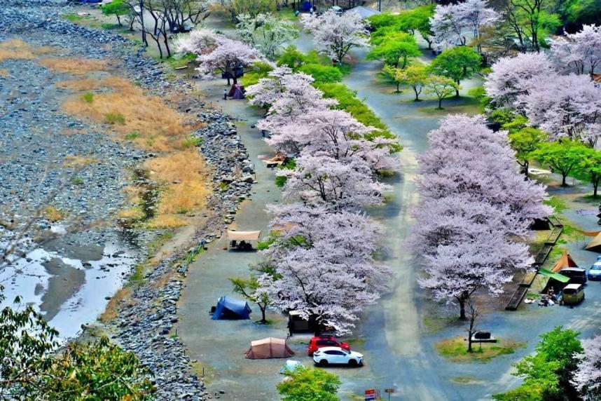 春のキャンプ場