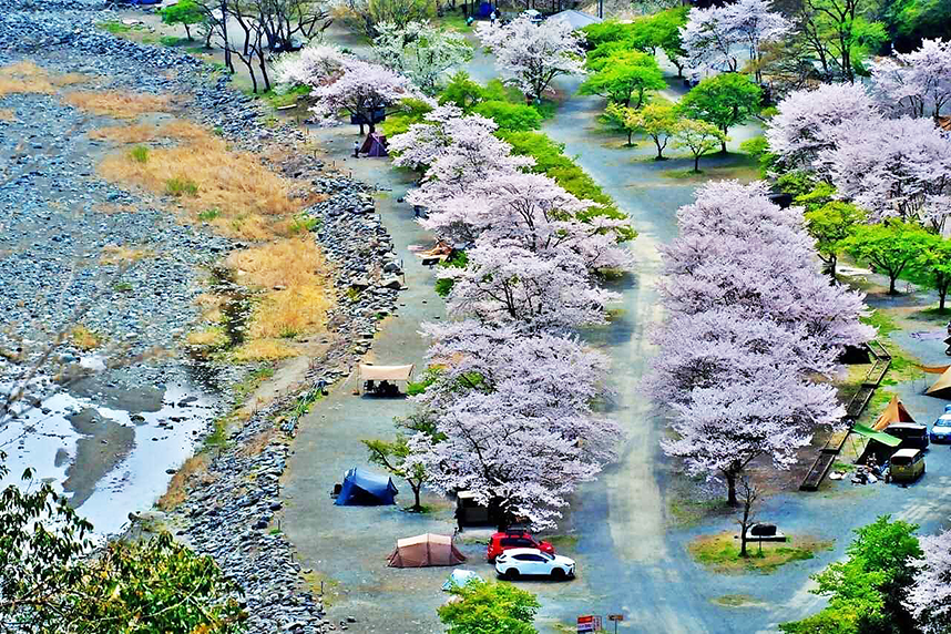 春のキャンプ場