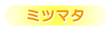 ミツマタボタン