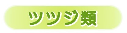 ツツジボタン