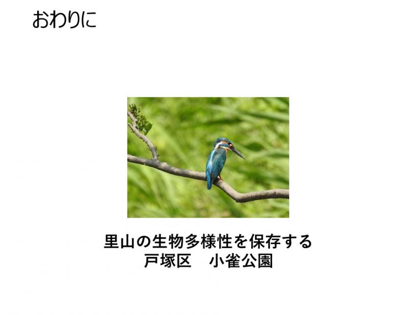 p31vol27-isoda11