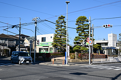 Pine trees at Nihonmatsu Intersection