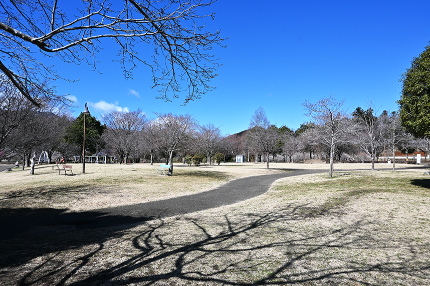 湖畔庭園の早春の様子