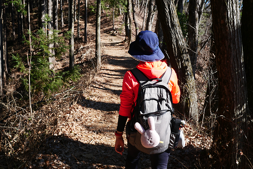 陣馬山を登山する女性