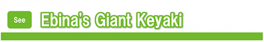 Ebina's Giant Keyaki