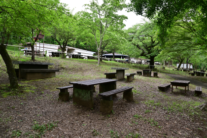 野外炊事場から少し離れた場所の風景