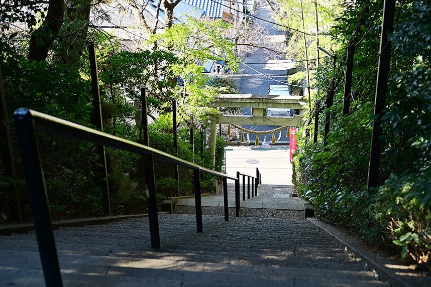 階段上から下を望む風景