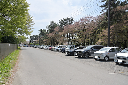 駐車場の様子