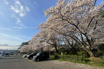 上大島露營區