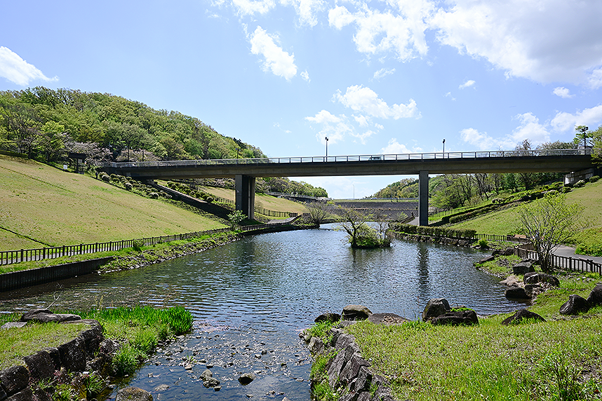 調整池の様子