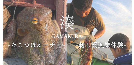 タコつぼ体験