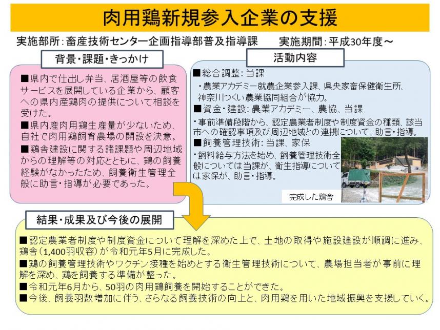 肉用鶏