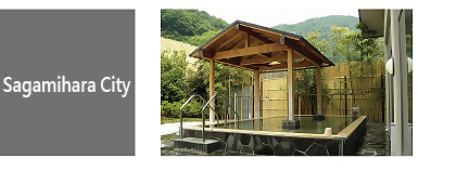 d-03-sagamihara_eng