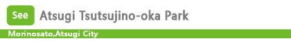 Atsugi Tsutsujino-oka Park