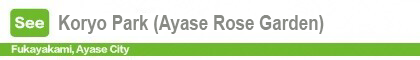 Koryo Park (Ayase Rose Garden)