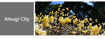 d-03-atsugi_eng