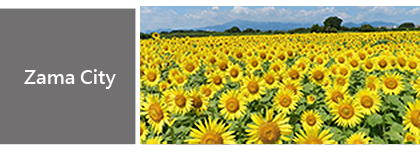 Zama City
