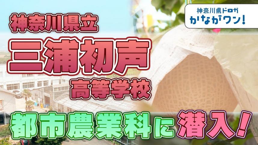農業