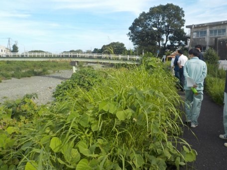 金目川