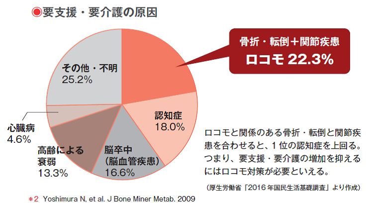 要介護になりたくなければ、ロコモの予防を!
