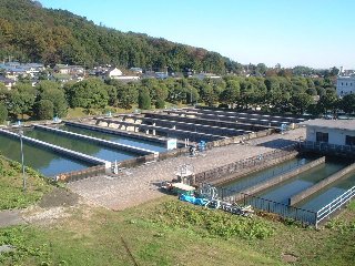 （写真）普通沈でん池
