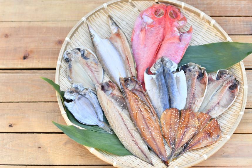 真鶴ひもの魚伝