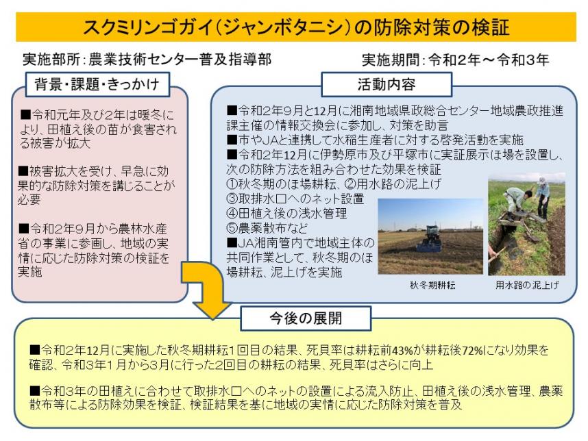 2021_06_sukumiringogai.jpg