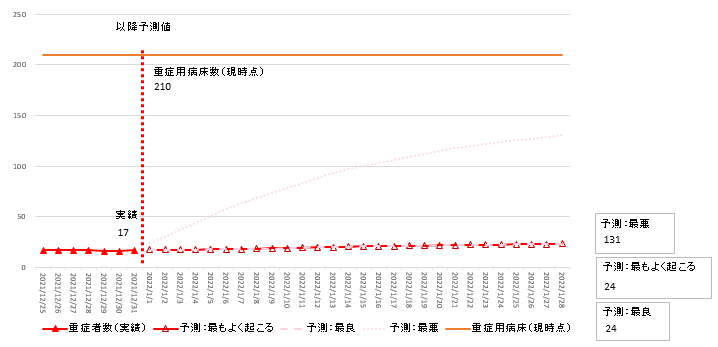 12月31日時点主要モデル重症者