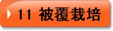 11　被覆栽培