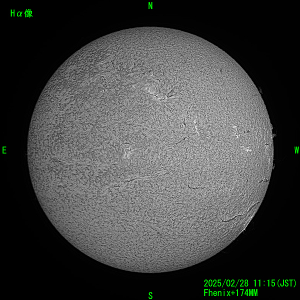 2025年2月28のHα太陽像