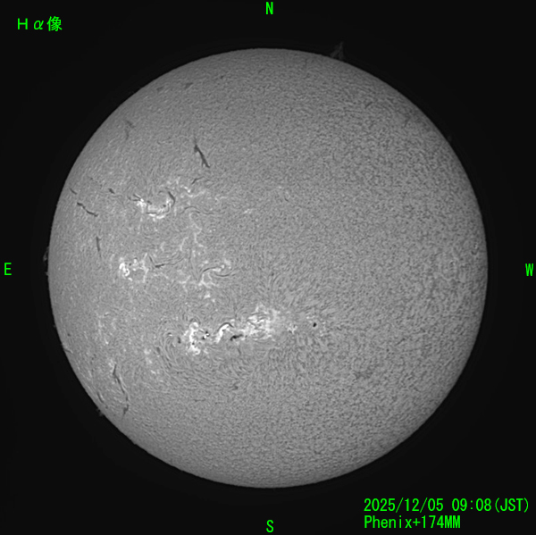 2025年12月5日のHα太陽像