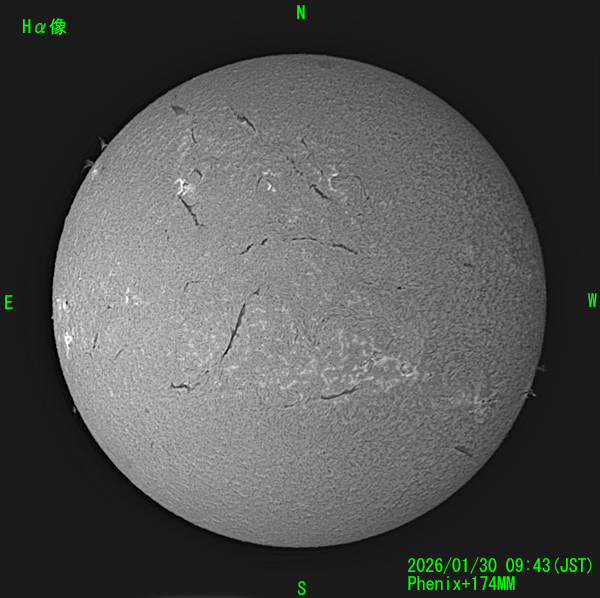 2026年1月30日のHα太陽像