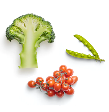 野菜の写真