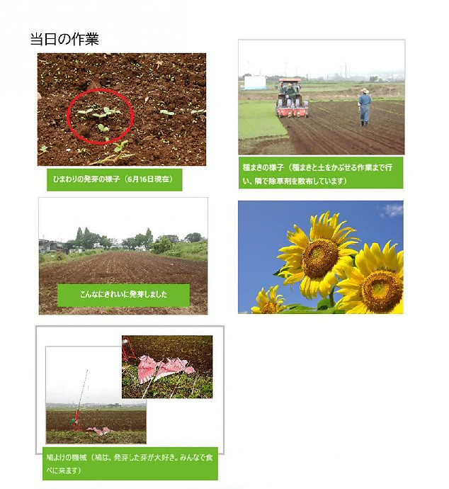 当日の作業