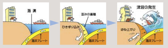 陸のプレートの下に海のプレートが潜り込み、陸のプレートがひきずり込まれ歪みが生じていき、最後は耐え切れずに地震となる