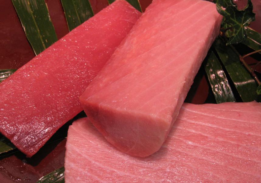 三崎のまぐろ(サク)