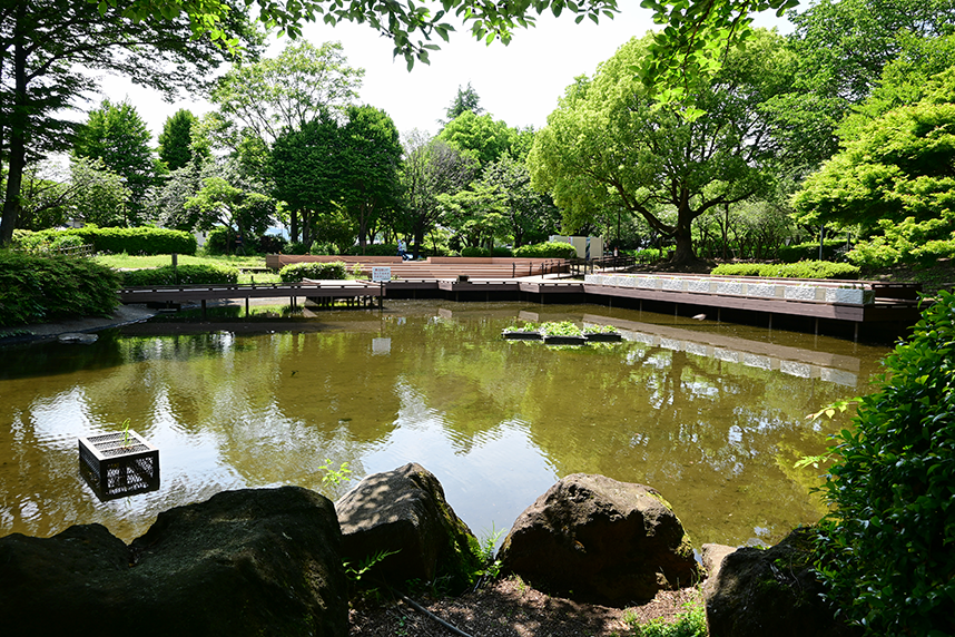 水辺の広場
