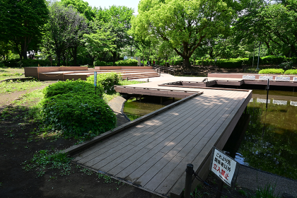 相模原北公園の水辺の広場