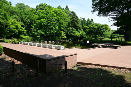 新しくなった水辺の広場