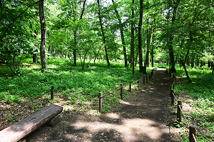 相模原北公園、郷土の森を歩く