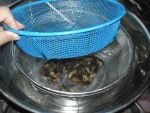 写真：大鍋で加熱殺菌