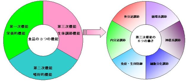 図:食品の機能性