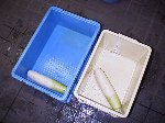 写真:漬け込み容器