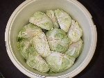 写真：4から5日経過
