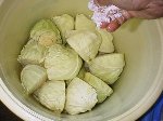 写真:キャベツをなるべくキッチリと容器に詰める
